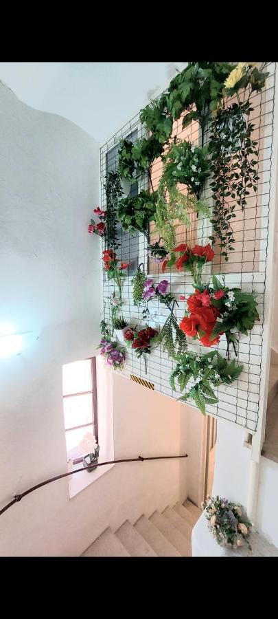 3m Peristil Appartement Split